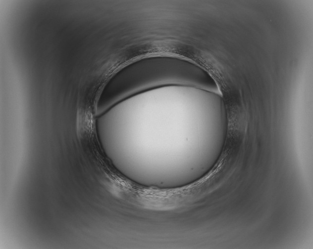 X0000116640045200912141244