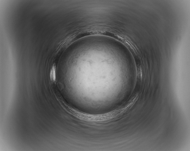 X0000116640046200912141244