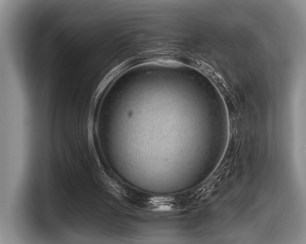 X0000116640051200912141243