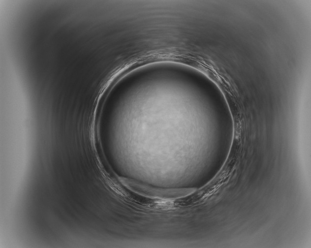 X0000116640052200912141243