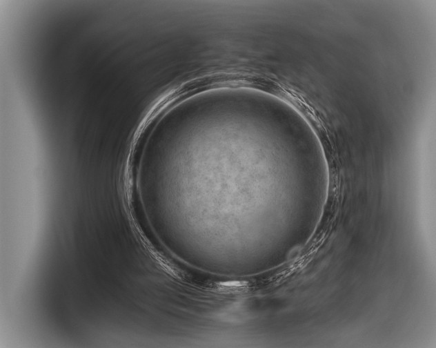 X0000116640053200912141243