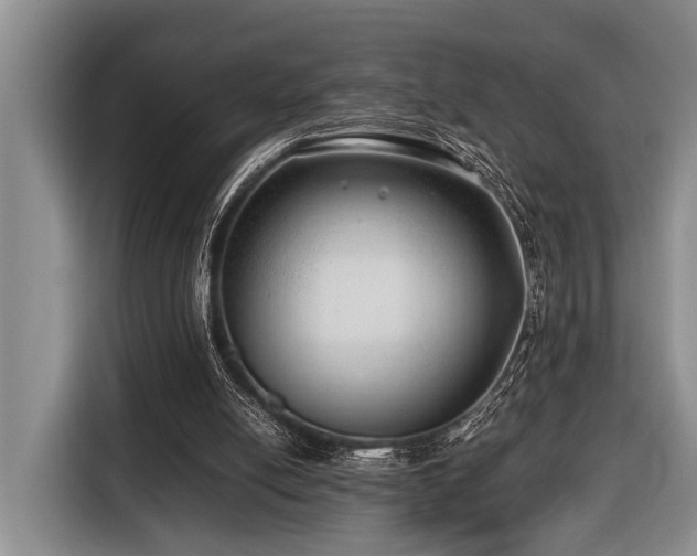 X0000116640054200912141243