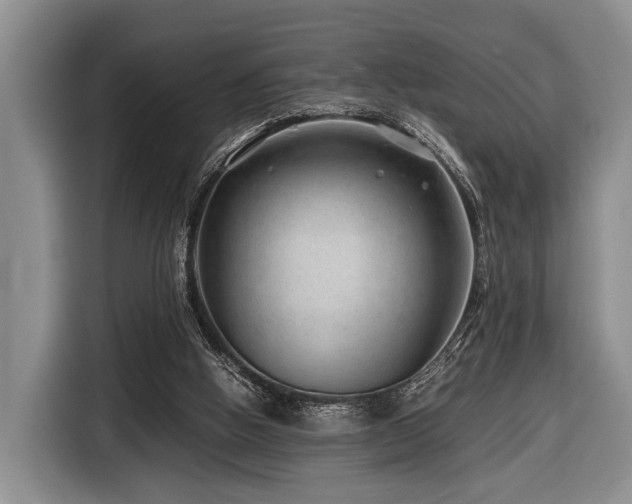 X0000116640058200912141243