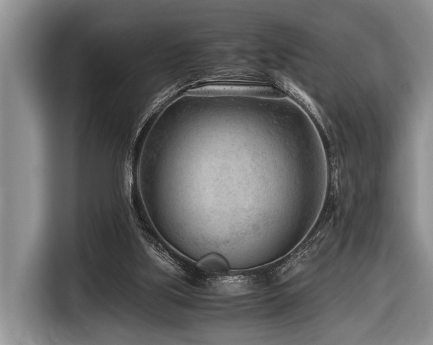 X0000116640059200912141243