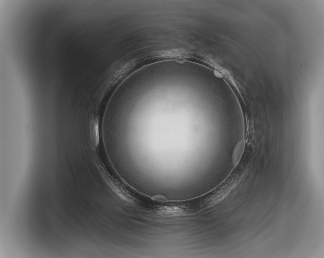 X0000116640061200912141243