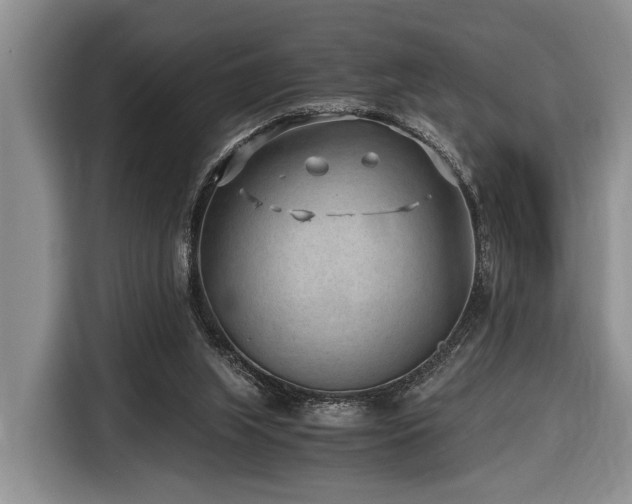 X0000116640063200912141243