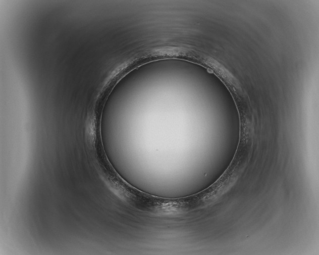 X0000116640064200912141244