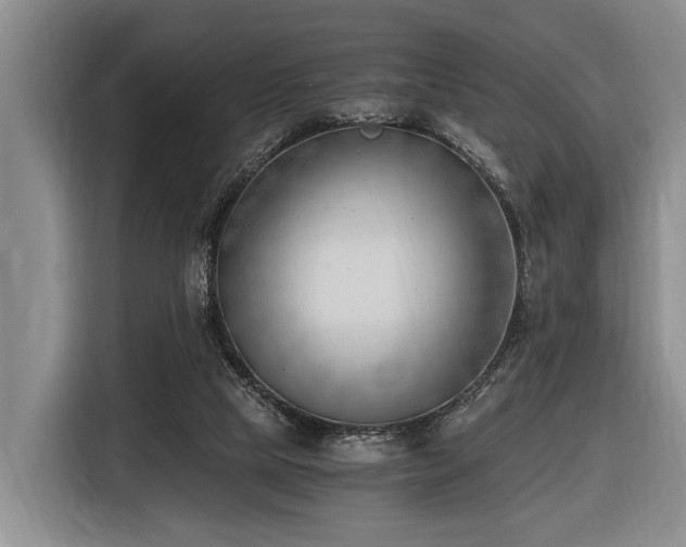 X0000116640065200912141244