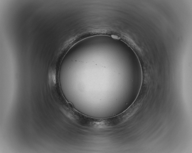 X0000116640068200912141244