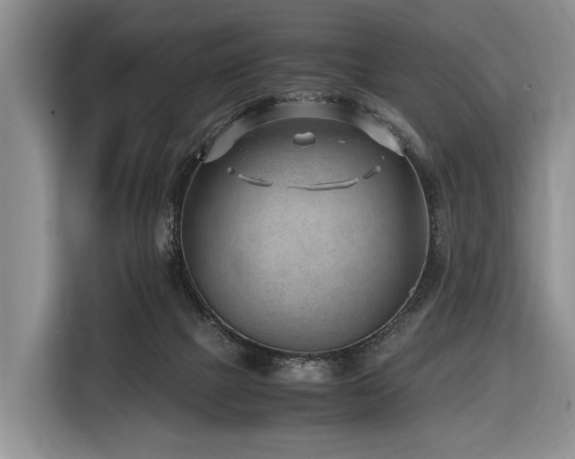 X0000116640073200912141244