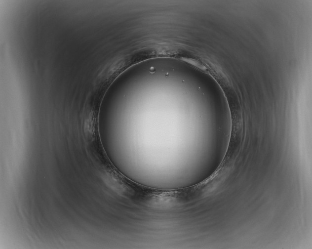 X0000116640078200912141244