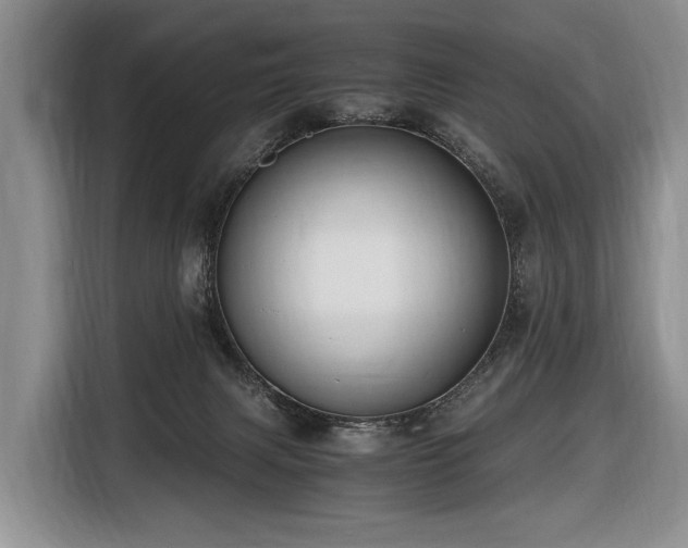 X0000116640079200912141244