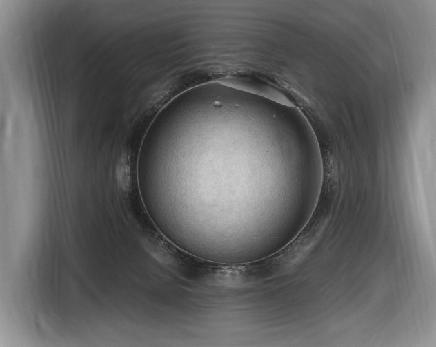 X0000116640080200912141244