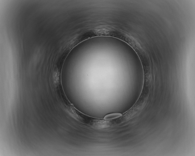 X0000116640081200912141244