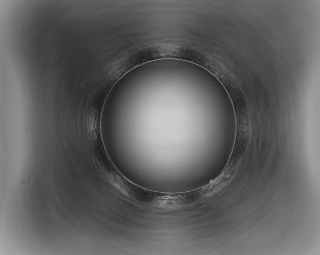 X0000116640082200912141244