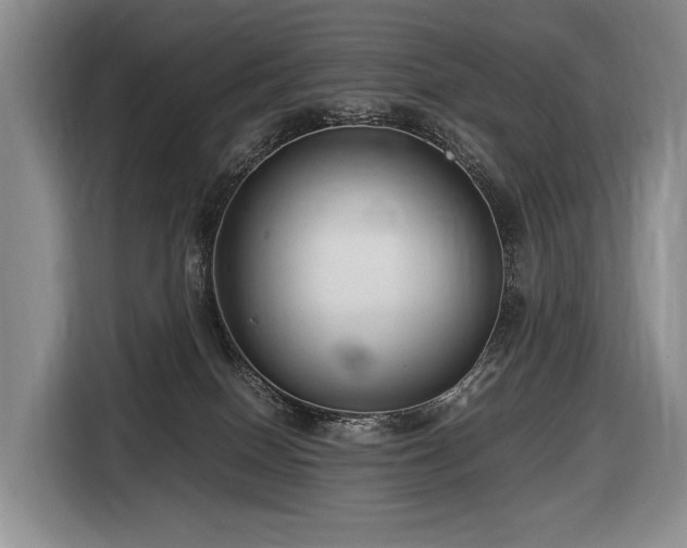 X0000116640086200912141244