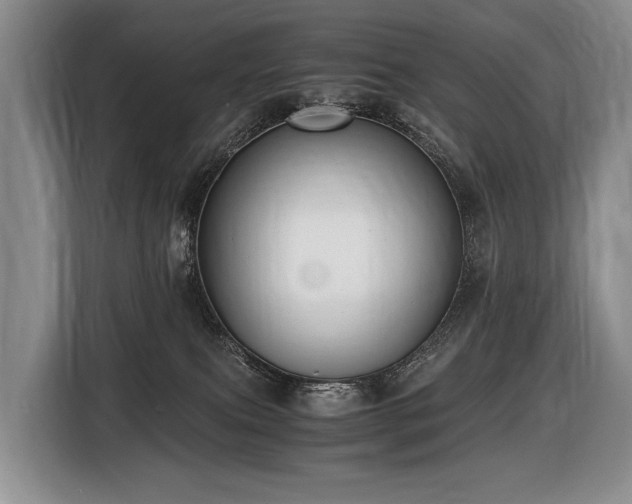 X0000116640087200912141244