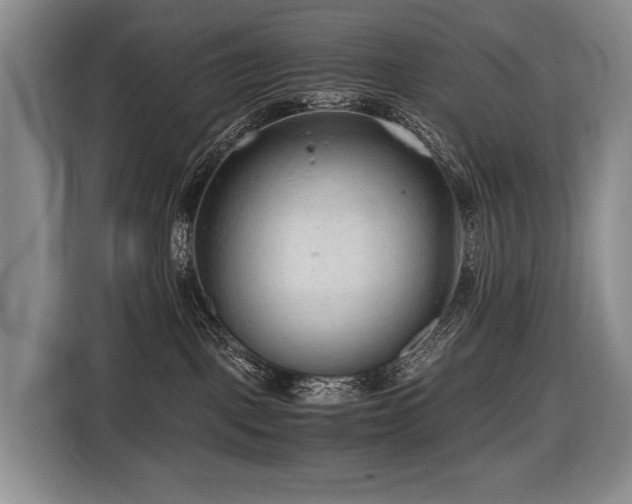 X0000116640093200912141244