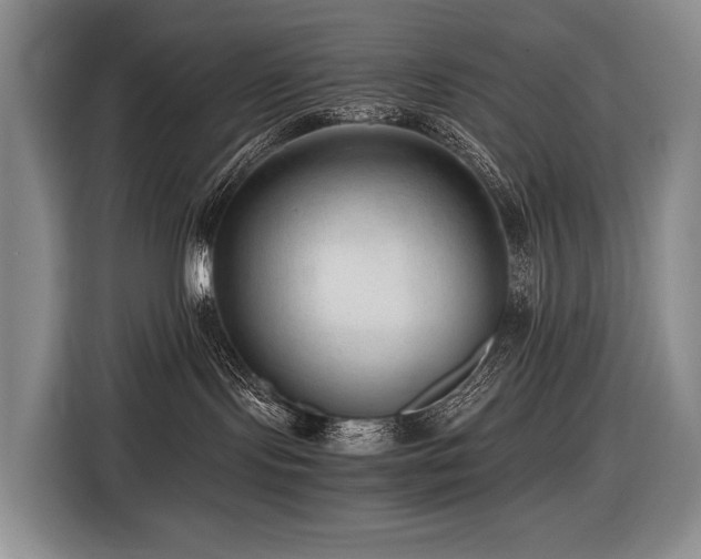 X0000116640095200912141244