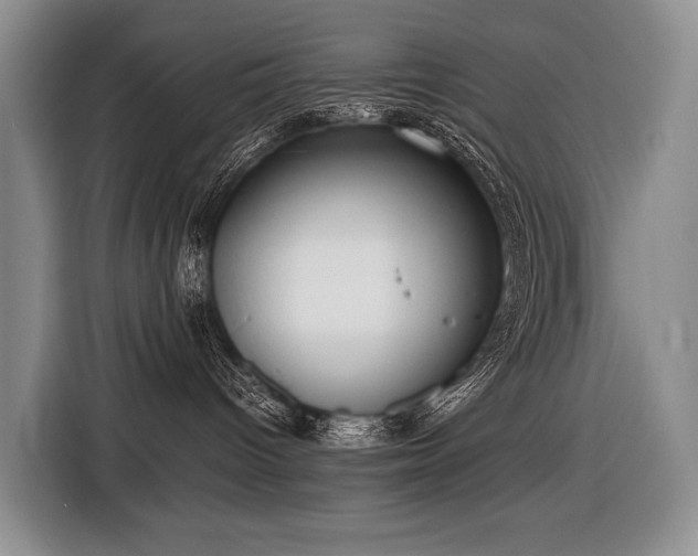 X0000116640096200912141244