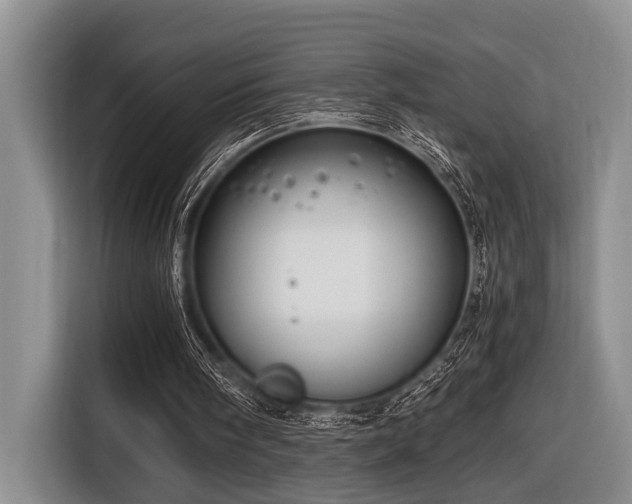 X0000116640098200912141243