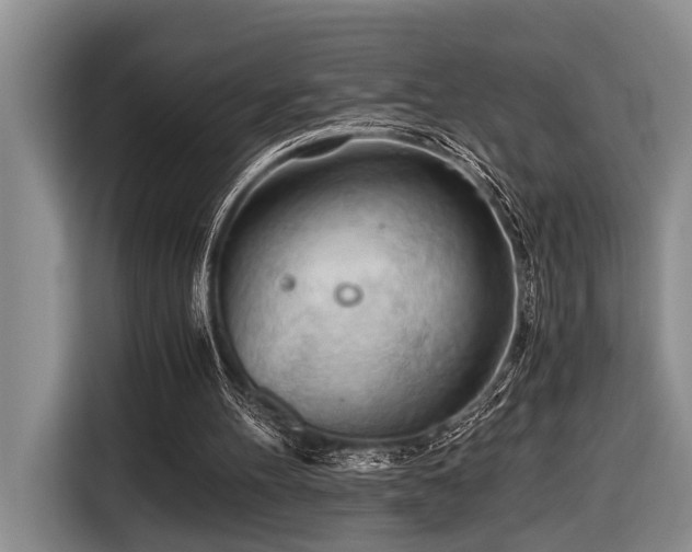 X0000116640100200912141243