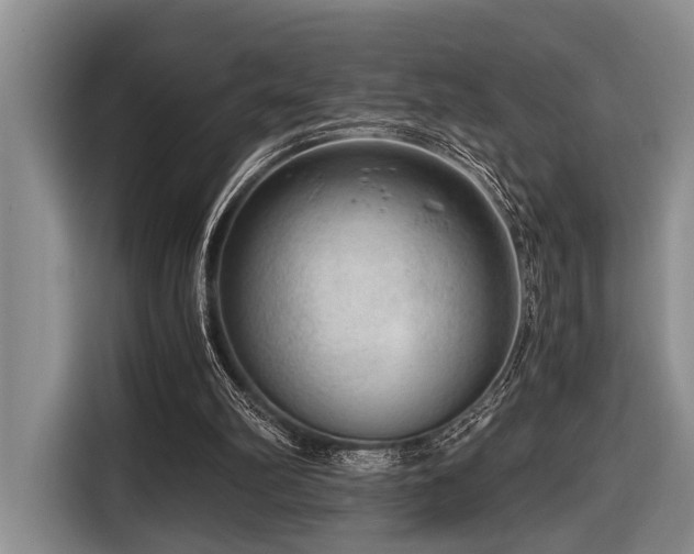 X0000116640102200912141243