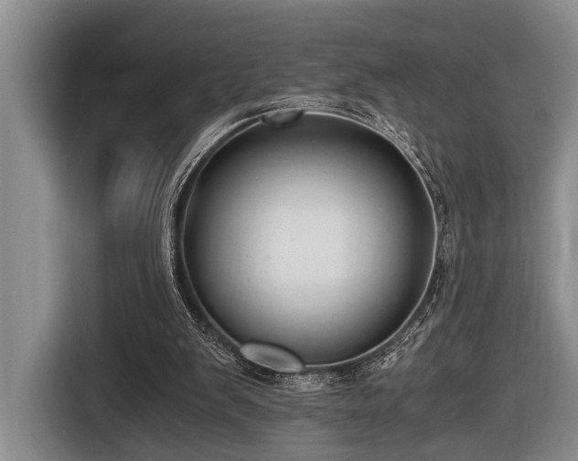 X0000116640103200912141243