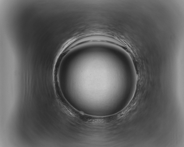 X0000116640104200912141243