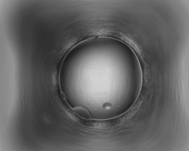 X0000116640105200912141243