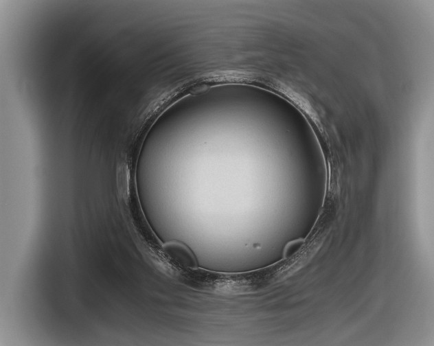 X0000116640109200912141243