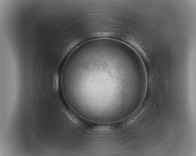 X0000116640110200912141243