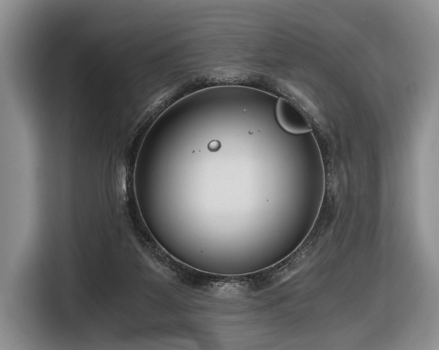 X0000116640115200912141243