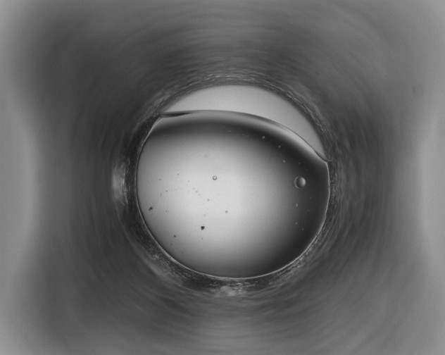 X0000116640116200912141243