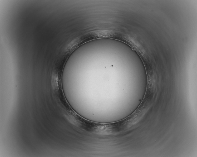 X0000116640117200912141243