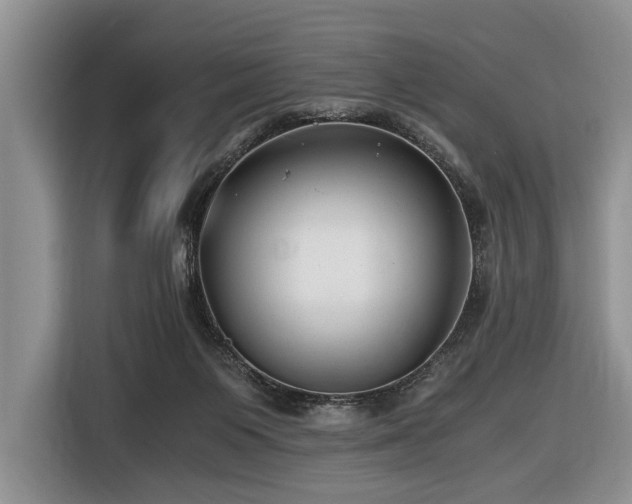 X0000116640119200912141243