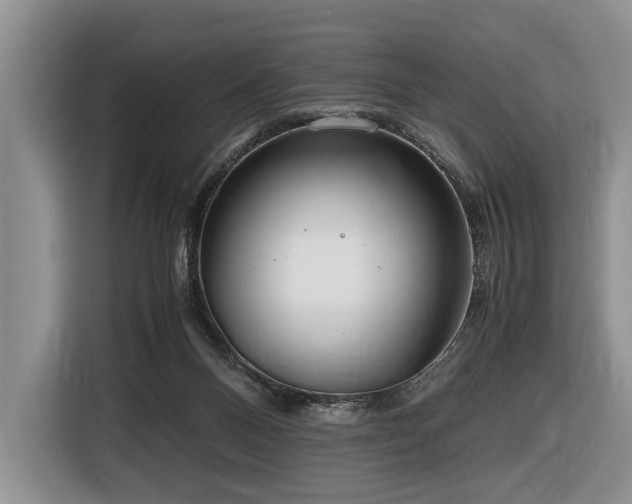 X0000116640120200912141243