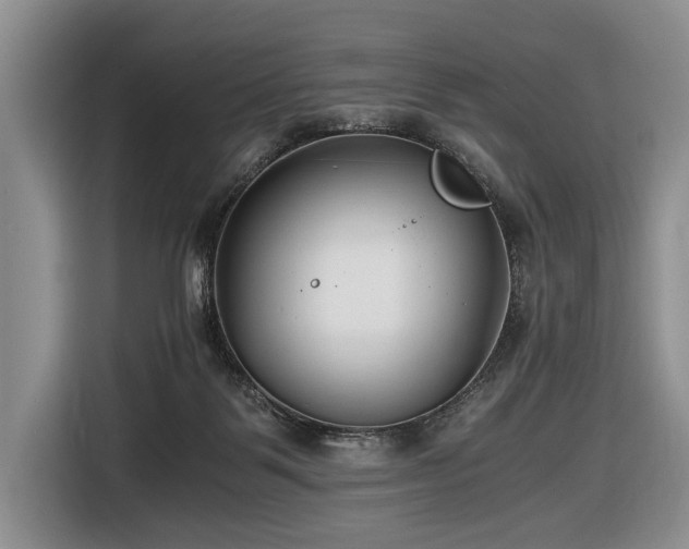 X0000116640123200912141243