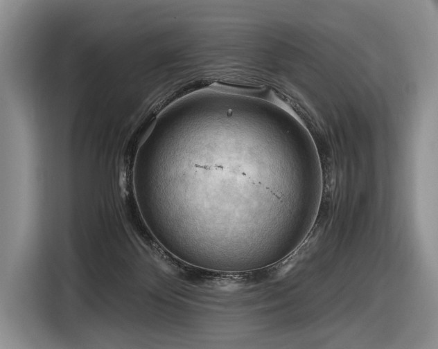 X0000116640124200912141243