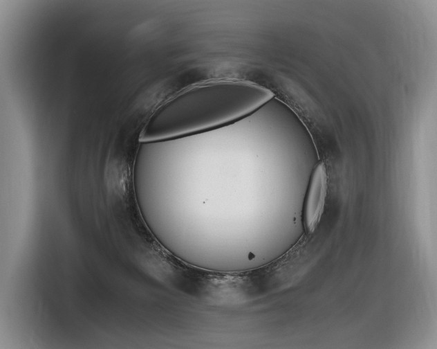 X0000116640125200912141243