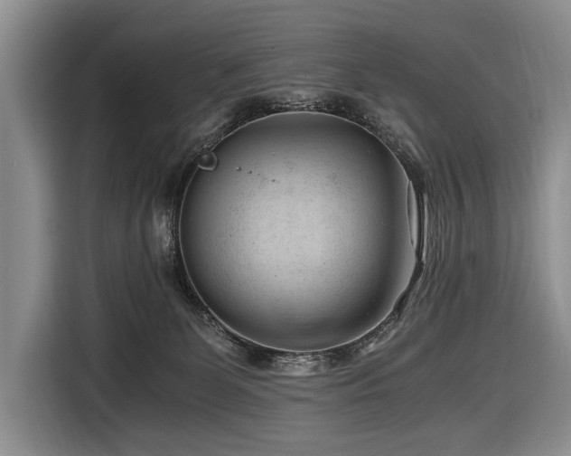 X0000116640131200912141243