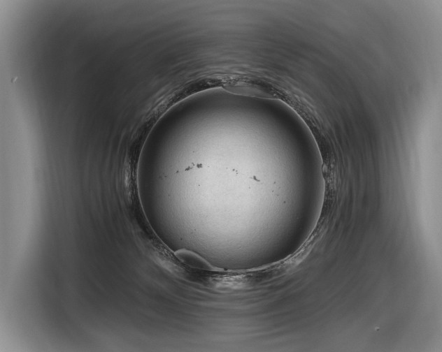 X0000116640132200912141243