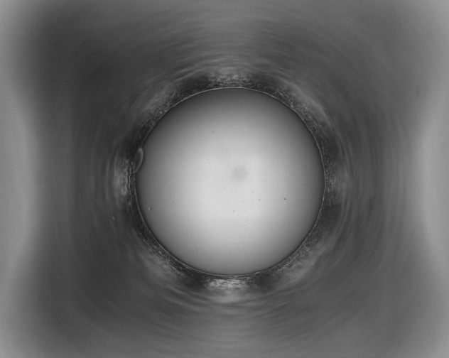 X0000116640133200912141243