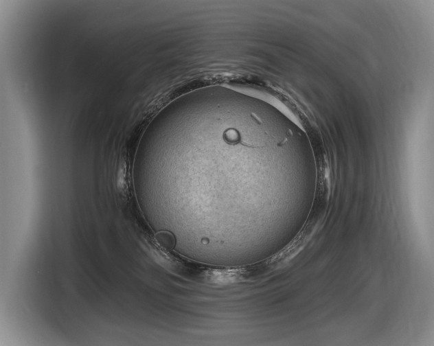 X0000116640134200912141243