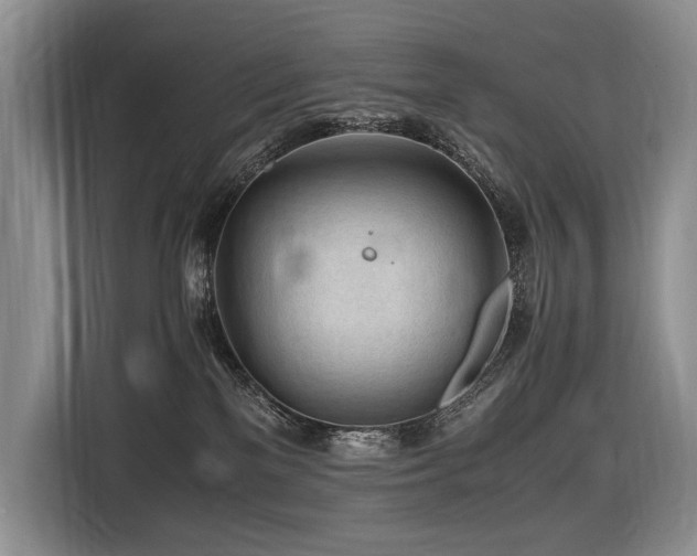 X0000116640137200912141243