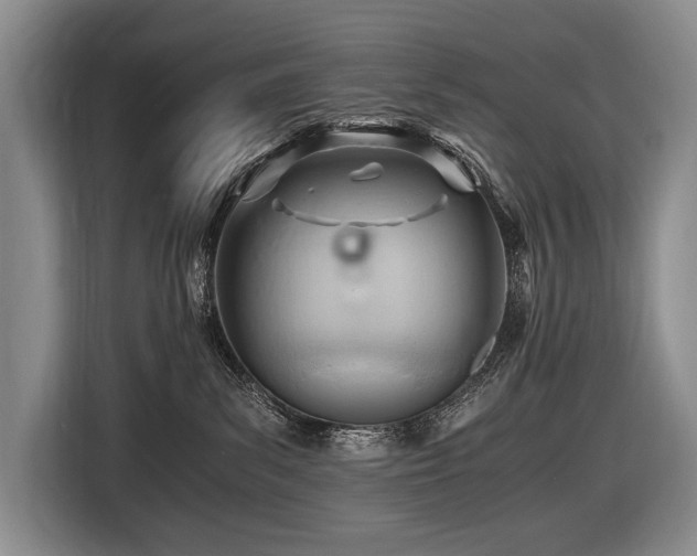 X0000116640139200912141243