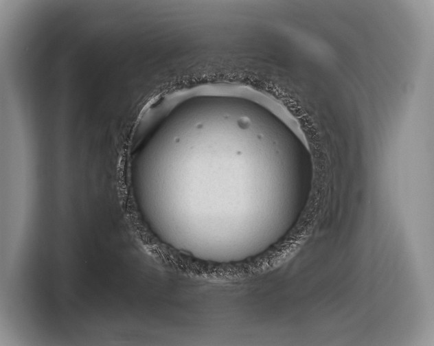 X0000116640144200912141243