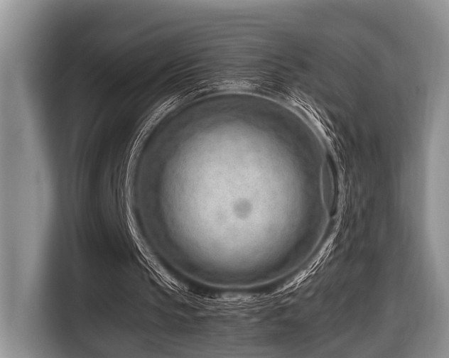 X0000116640145200912141242