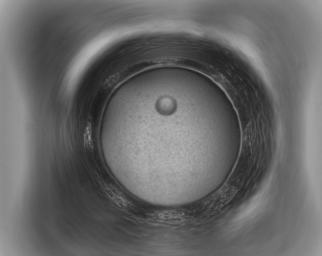 X0000116640146200912141242