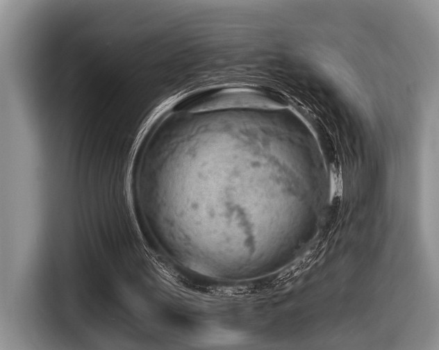 X0000116640147200912141242